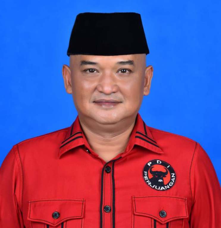 Sekretaris DPC PDI Perjuangan Kota Medan, Robi Barus.