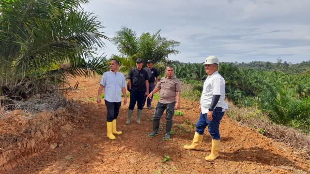 Komisaris PT PSU Muhammad Syarif Lubis saat meninjau perkebunan kelapa sawit PT PSU beberapa hari lalu.