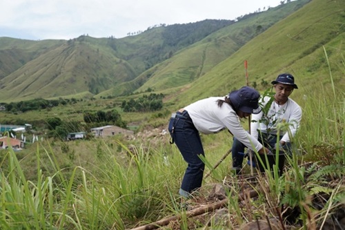 TANAM-POHON Kegiatan menanam pohon d kawasan Danau Toba. Foto? Istimewa