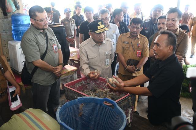 20260722_082934_resize_24 Wakil Gubernur Sumatera Utara (Sumut) Surya didampingi Wakil Bupati Nias Utara Yusman Zega melihat produksi rumput laut di Pantai Tureloto, Kabupaten Nias Utara, Selasa (21/7/2026). Foto/Diskominfo Sumut